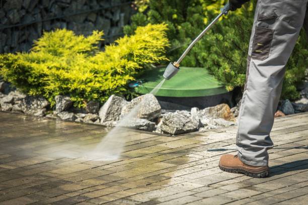 Best Pool Deck Cleaning in Roselle, IL