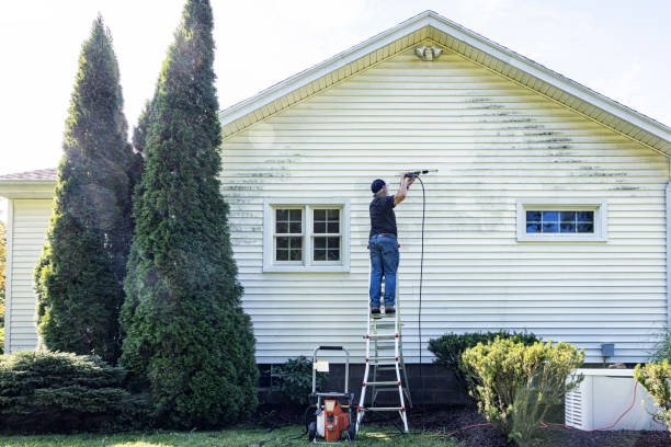Best Rust and Stain Removal in Roselle, IL